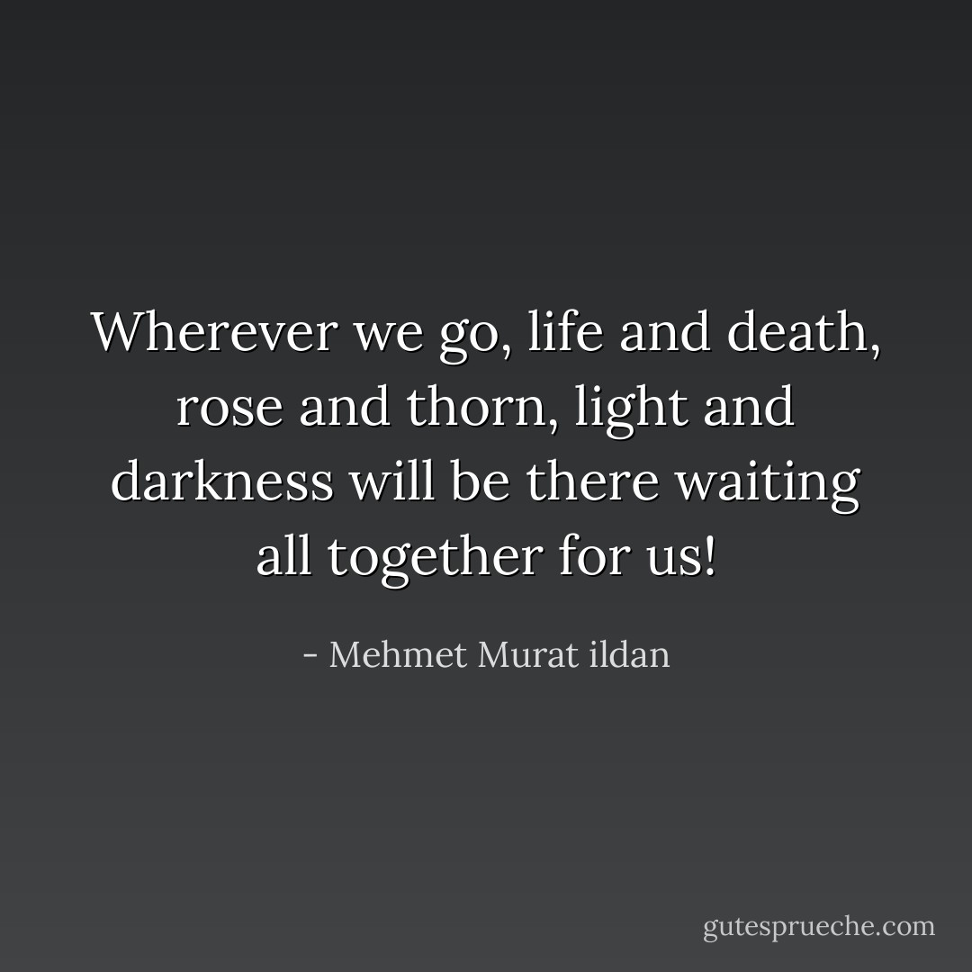 Wherever we go, life and death, rose and thorn, light and darkness will be there waiting all together for us! - Mehmet Murat ildan
