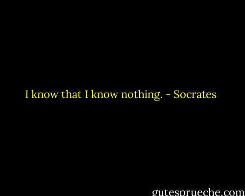 I know that I know nothing. - Socrates