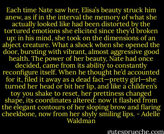 Each time Nate saw her, Elisa’s beauty struck him anew, as if in the interval the memory of what she actually looked like had been distorted by the tortured emotions she elicited since they’d broken up: in his mind, she took on the dimensions of an abject creature. What a shock when she opened the door, bursting with vibrant, almost aggressive good health. The power of her beauty, Nate had once decided, came from its ability to constantly reconfigure itself. When he thought he’d accounted for it, filed it away as a dead fact—pretty girl—she turned her head or bit her lip, and like a children’s toy you shake to reset, her prettiness changed shape, its coordinates altered: now it flashed from the elegant contours of her sloping brow and flaring cheekbone, now from her shyly smiling lips. - Adelle Waldman