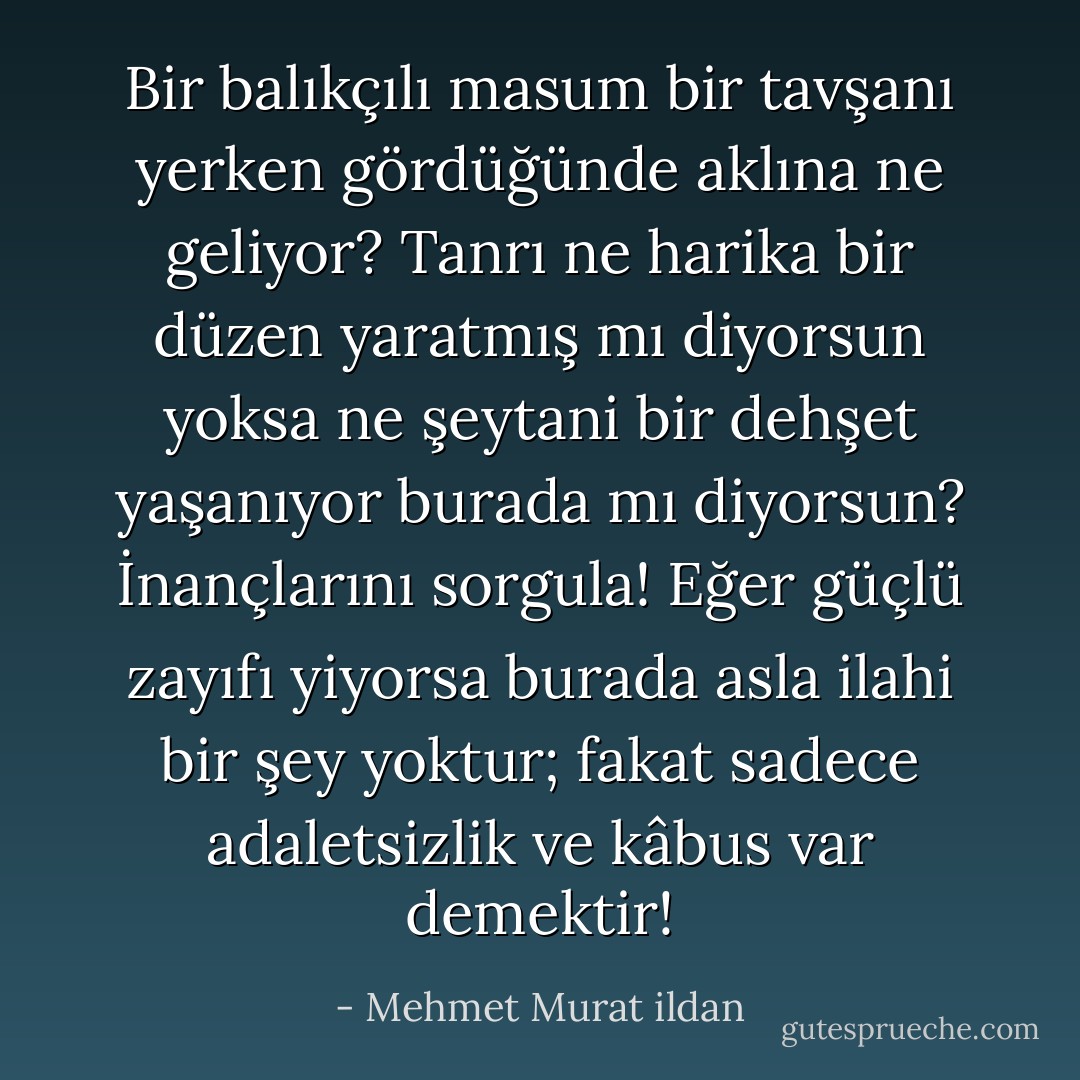 Bir balıkçılı masum bir tavşanı yerken gördüğünde aklına ne geliyor? Tanrı ne harika bir düzen yaratmış mı diyorsun yoksa ne şeytani bir dehşet yaşanıyor burada mı diyorsun? İnançlarını sorgula! Eğer güçlü zayıfı yiyorsa burada asla ilahi bir şey yoktur; fakat sadece adaletsizlik ve kâbus var demektir! - Mehmet Murat ildan