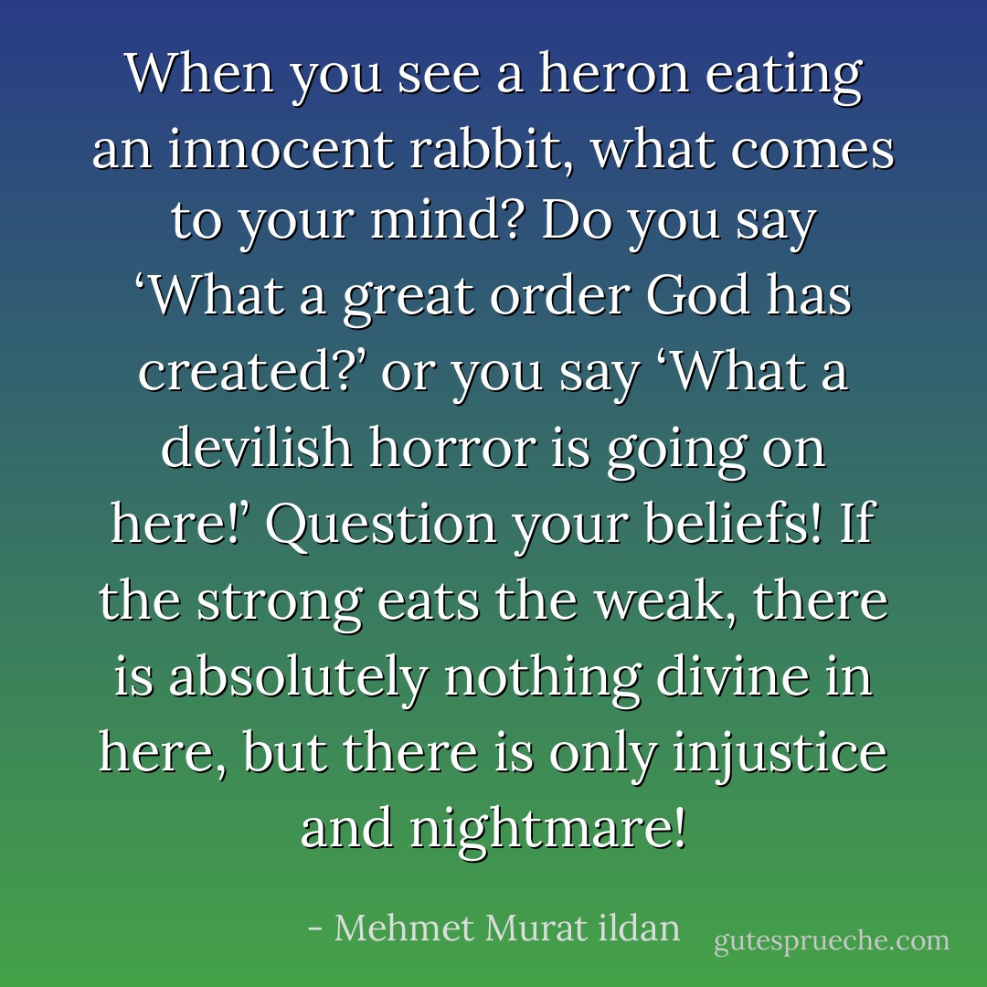 When you see a heron eating an innocent rabbit, what comes to your mind? Do you say ‘What a great order God has created?’ or you say ‘What a devilish horror is going on here!’ Question your beliefs! If the strong eats the weak, there is absolutely nothing divine in here, but there is only injustice and nightmare! - Mehmet Murat ildan