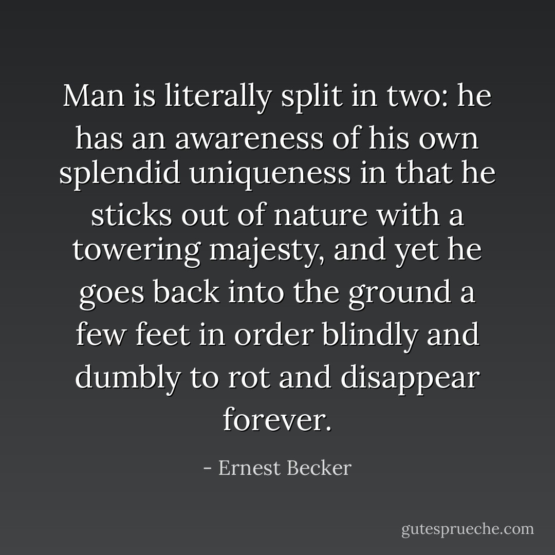 Man is literally split in two: he has an awareness of his own splendid uniqueness in that he sticks out of nature with a towering majesty, and yet he goes back into the ground a few feet in order blindly and dumbly to rot and disappear forever. - Ernest Becker