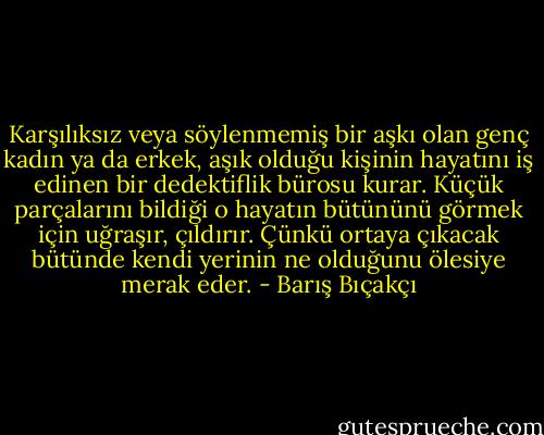 Karşılıksız veya söylenmemiş bir aşkı olan genç kadın ya da erkek, aşık olduğu kişinin hayatını iş edinen bir dedektiflik bürosu kurar. Küçük parçalarını bildiği o hayatın bütününü görmek için uğraşır, çıldırır. Çünkü ortaya çıkacak bütünde kendi yerinin ne olduğunu ölesiye merak eder. - Barış Bıçakçı