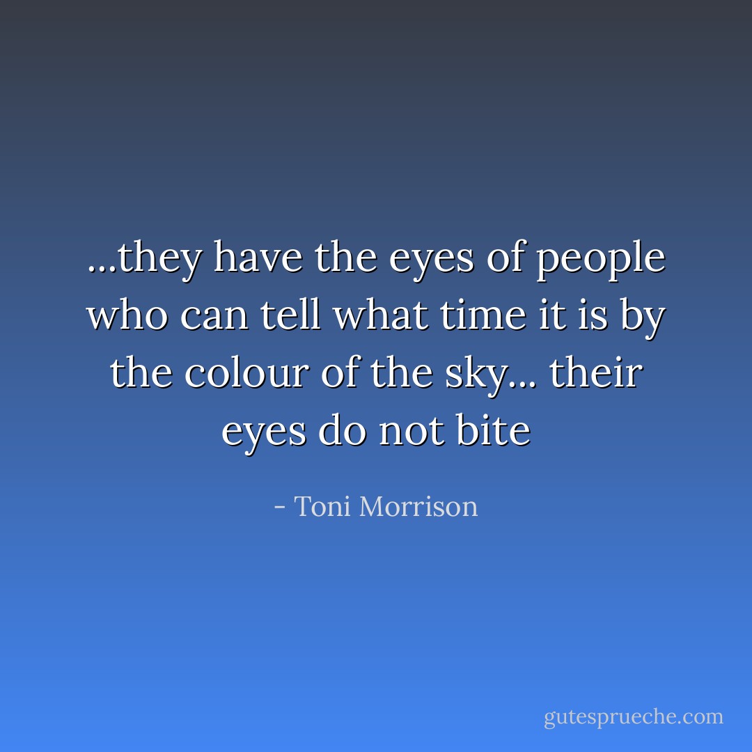 ...they have the eyes of people who can tell what time it is by the colour of the sky... their eyes do not bite - Toni Morrison