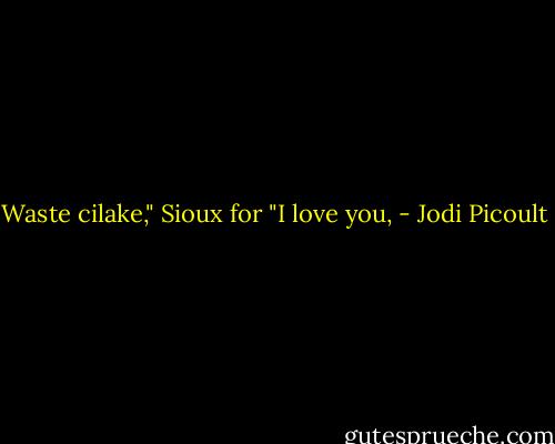 Waste cilake," Sioux for "I love you, - Jodi Picoult