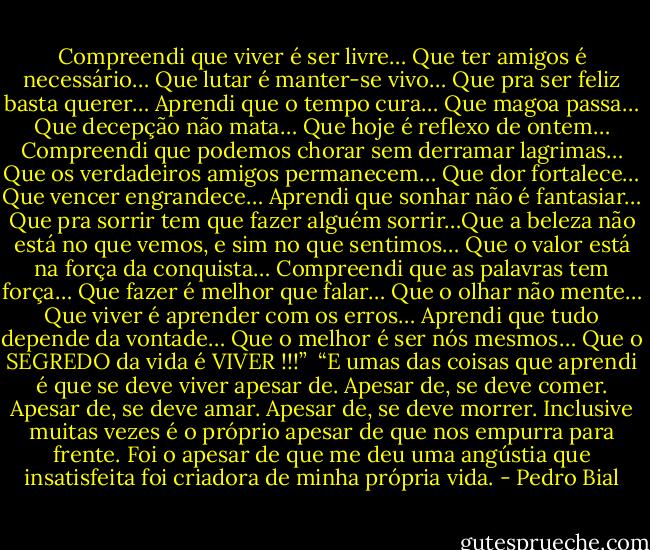 Compreendi que viver é ser livre… Que ter amigos é necessário… Que lutar é manter-se vivo… Que pra ser feliz basta querer… Aprendi que o tempo cura… Que magoa passa… Que decepção não mata… Que hoje é reflexo de ontem… Compreendi que podemos chorar sem derramar lagrimas… Que os verdadeiros amigos permanecem… Que dor fortalece… Que vencer engrandece… Aprendi que sonhar não é fantasiar… Que pra sorrir tem que fazer alguém sorrir…Que a beleza não está no que vemos, e sim no que sentimos… Que o valor está na força da conquista… Compreendi que as palavras tem força… Que fazer é melhor que falar… Que o olhar não mente… Que viver é aprender com os erros… Aprendi que tudo depende da vontade… Que o melhor é ser nós mesmos… Que o SEGREDO da vida é VIVER !!!”<br /><br />“E umas das coisas que aprendi é que se deve viver apesar de. Apesar de, se deve comer. Apesar de, se deve amar. Apesar de, se deve morrer. Inclusive muitas vezes é o próprio apesar de que nos empurra para frente. Foi o apesar de que me deu uma angústia que insatisfeita foi criadora de minha própria vida. - Pedro Bial