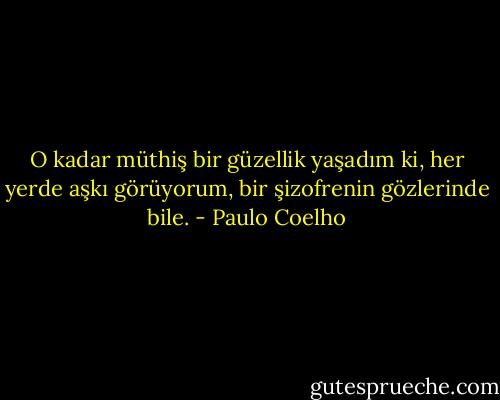 O kadar müthiş bir güzellik yaşadım ki, her yerde aşkı görüyorum, bir şizofrenin gözlerinde bile. - Paulo Coelho