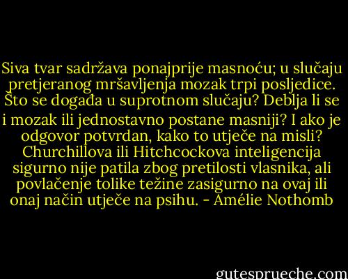 Siva tvar sadržava ponajprije masnoću; u slučaju pretjeranog mršavljenja mozak trpi posljedice. Što se događa u suprotnom slučaju? Deblja li se i mozak ili jednostavno postane masniji? I ako je odgovor potvrdan, kako to utječe na misli? Churchillova ili Hitchcockova inteligencija sigurno nije patila zbog pretilosti vlasnika, ali povlačenje tolike težine zasigurno na ovaj ili onaj način utječe na psihu. - Amélie Nothomb