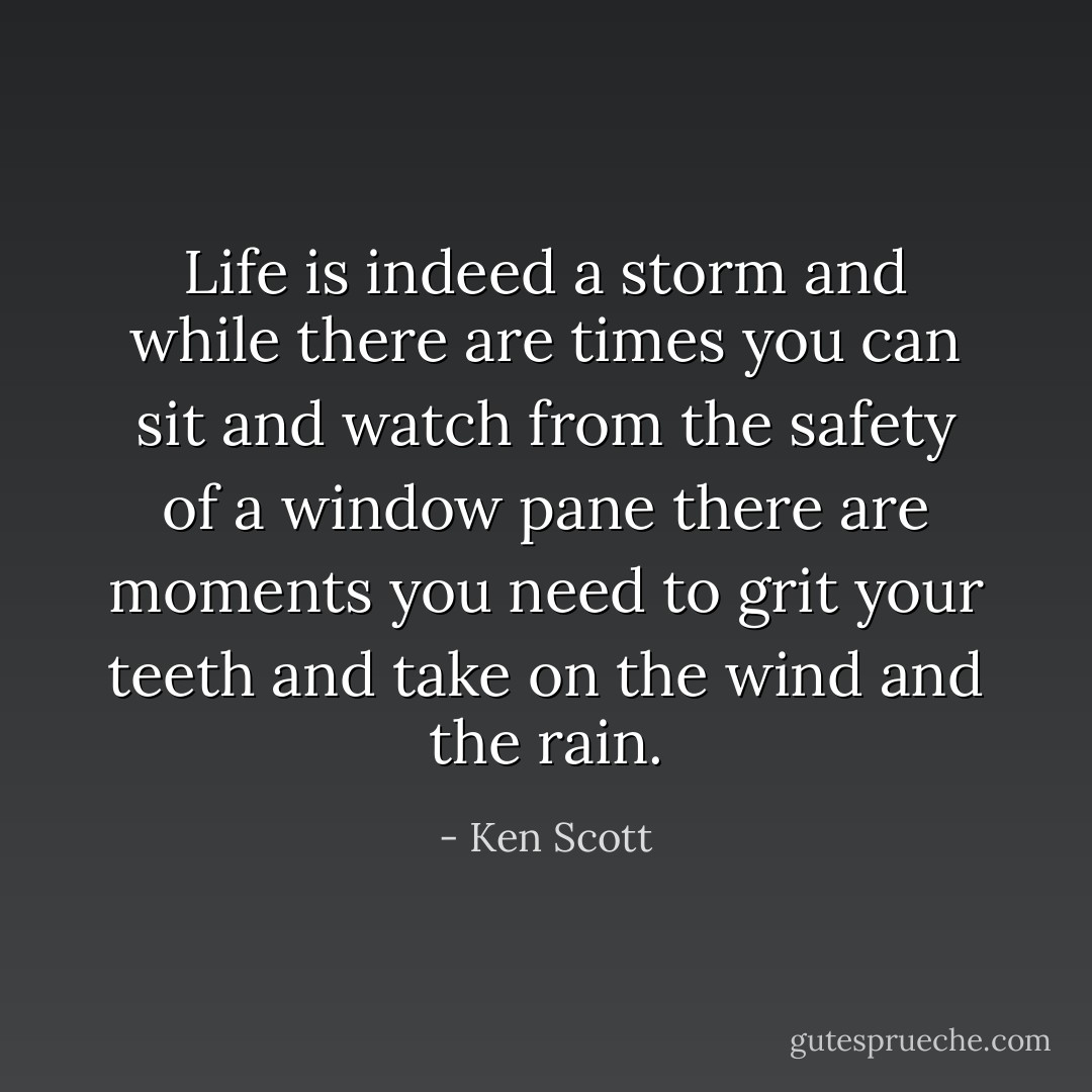 Life is indeed a storm and while there are times you can sit and watch from the safety of a window pane there are moments you need to grit your teeth and take on the wind and the rain. - Ken Scott