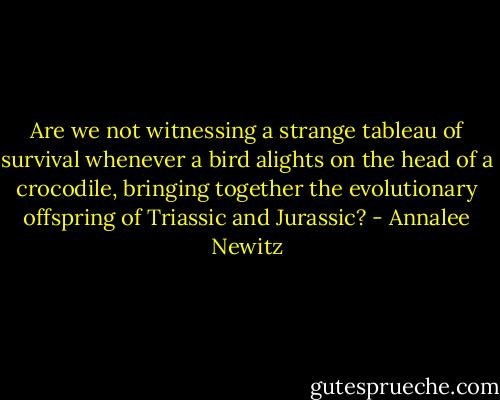 Are we not witnessing a strange tableau of survival whenever a bird alights on the head of a crocodile, bringing together the evolutionary offspring of Triassic and Jurassic? - Annalee Newitz
