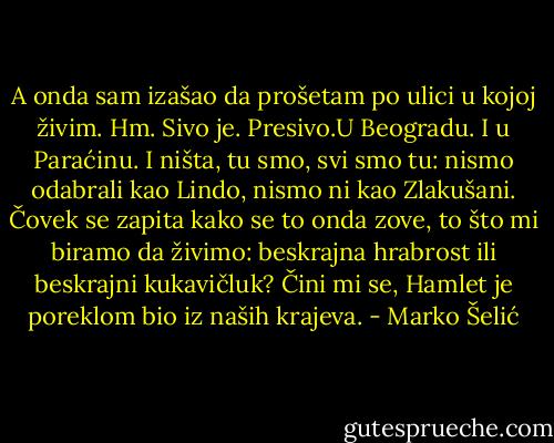 A onda sam izašao da prošetam po ulici u kojoj živim. Hm. Sivo je. Presivo.U Beogradu. I u Paraćinu. I ništa, tu smo, svi smo tu: nismo odabrali kao Lindo, nismo ni kao Zlakušani. Čovek se zapita kako se to onda zove, to što mi biramo da živimo: beskrajna hrabrost ili beskrajni kukavičluk? Čini mi se, Hamlet je poreklom bio iz naših krajeva. - Marko Šelić