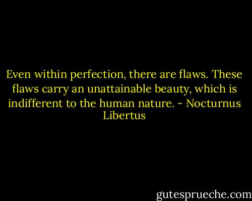 Even within perfection, there are flaws. These flaws carry an unattainable beauty, which is indifferent to the human nature. - Nocturnus Libertus