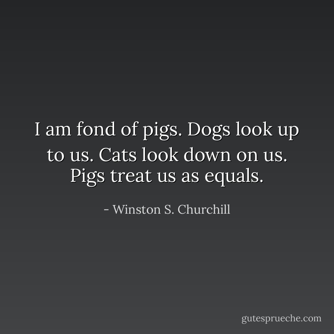 I am fond of pigs. Dogs look up to us. Cats look down on us. Pigs treat us as equals. - Winston S. Churchill