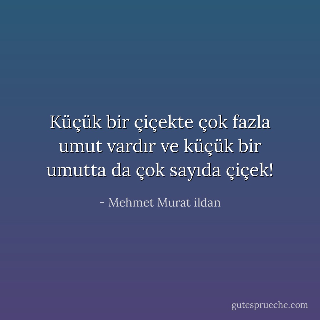 Küçük bir çiçekte çok fazla umut vardır ve küçük bir umutta da çok sayıda çiçek! - Mehmet Murat ildan