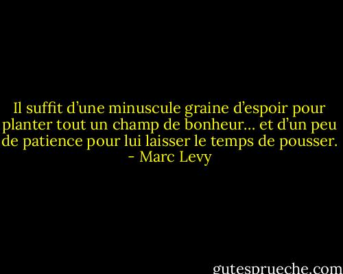 Il suffit d’une minuscule graine d’espoir pour planter tout un champ de bonheur… et d’un peu de patience pour lui laisser le temps de pousser. - Marc Levy