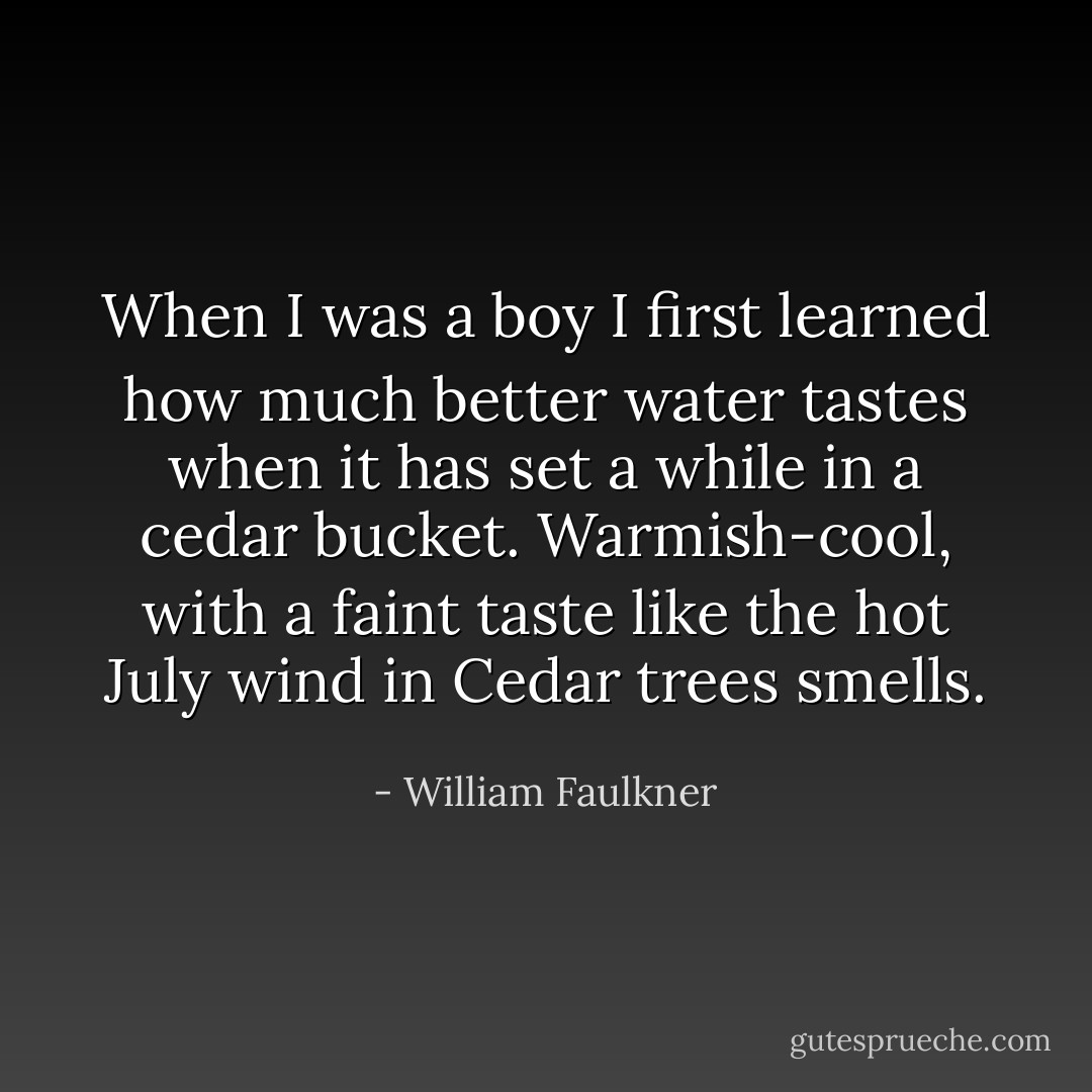 When I was a boy I first learned how much better water tastes when it has set a while in a cedar bucket. Warmish-cool, with a faint taste like the hot July wind in Cedar trees smells. - William Faulkner