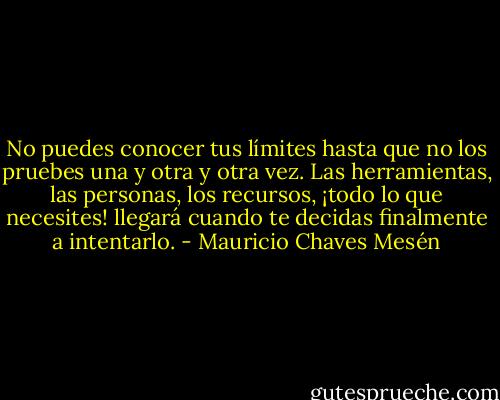No puedes conocer tus límites hasta que no los pruebes una y otra y otra vez. Las herramientas, las personas, los recursos, ¡todo lo que necesites! llegará cuando te decidas finalmente a intentarlo. - Mauricio Chaves Mesén