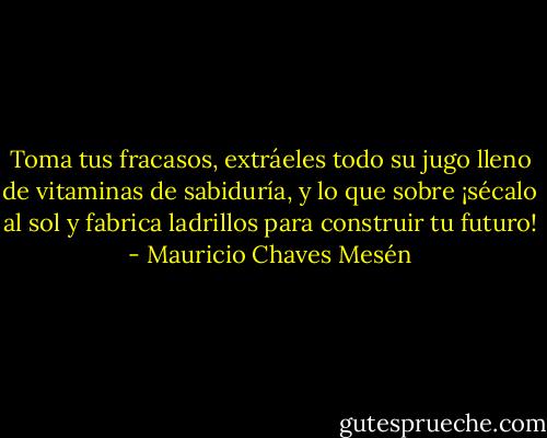 Toma tus fracasos, extráeles todo su jugo lleno de vitaminas de sabiduría, y lo que sobre ¡sécalo al sol y fabrica ladrillos para construir tu futuro! - Mauricio Chaves Mesén