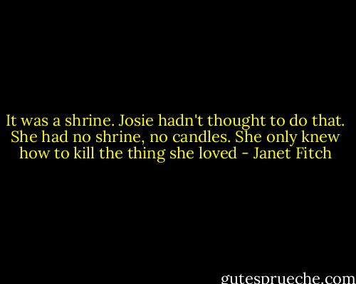 It was a shrine. Josie hadn't thought to do that. She had no shrine, no candles. She only knew how to kill the thing she loved - Janet Fitch
