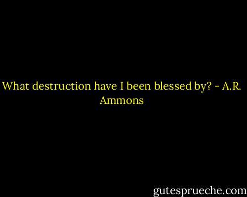 What destruction have I been blessed by? - A.R. Ammons