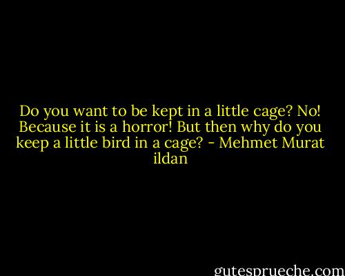Do you want to be kept in a little cage? No! Because it is a horror! But then why do you keep a little bird in a cage? - Mehmet Murat ildan