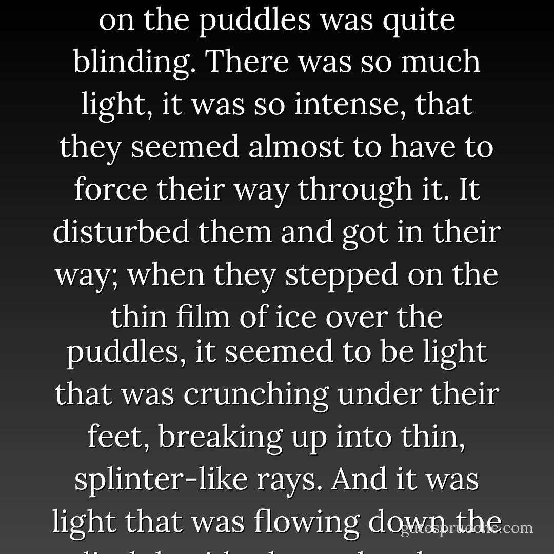 The snow here hadn't thawed. Its large, rough crystals were filled with the blue of the lake-water. But on the sunny side of the hill the snow was just beginning to melt. The ditch beside the path was full of gurgling water. The glitter of the snow, the water and the ice on the puddles was quite blinding. There was so much light, it was so intense, that they seemed almost to have to force their way through it. It disturbed them and got in their way; when they stepped on the thin film of ice over the puddles, it seemed to be light that was crunching under their feet, breaking up into thin, splinter-like rays. And it was light that was flowing down the ditch beside the path; where the path was blocked by stones, the light swelled up, foaming and gurgling. The spring sun seemed to be closer to the earth than ever. The air was cool and warm at the same time. - Vasily Grossman