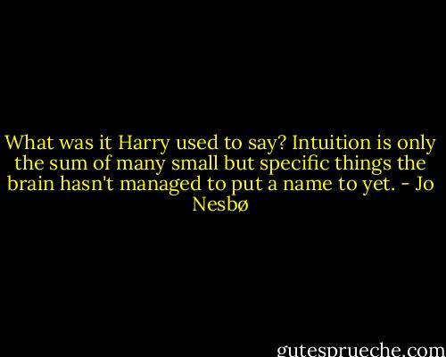 What was it Harry used to say? Intuition is only the sum of many small but specific things the brain hasn't managed to put a name to yet. - Jo Nesbø