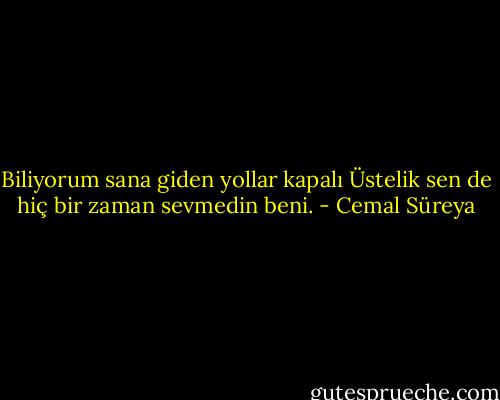 Biliyorum sana giden yollar kapalı<br />Üstelik sen de hiç bir zaman sevmedin beni. - Cemal Süreya