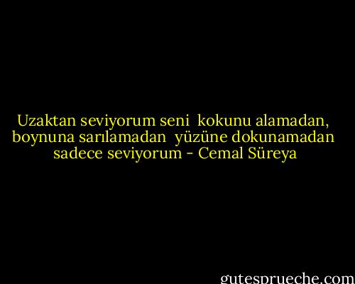 Uzaktan seviyorum seni <br />kokunu alamadan, <br />boynuna sarılamadan <br />yüzüne dokunamadan <br />sadece seviyorum - Cemal Süreya