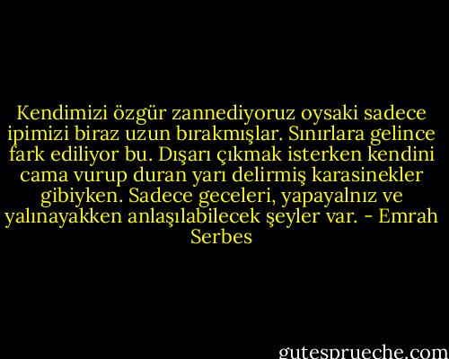 Kendimizi özgür zannediyoruz oysaki sadece ipimizi biraz uzun bırakmışlar. Sınırlara gelince fark ediliyor bu. Dışarı çıkmak isterken kendini cama vurup duran yarı delirmiş karasinekler gibiyken. Sadece geceleri, yapayalnız ve yalınayakken anlaşılabilecek şeyler var. - Emrah Serbes