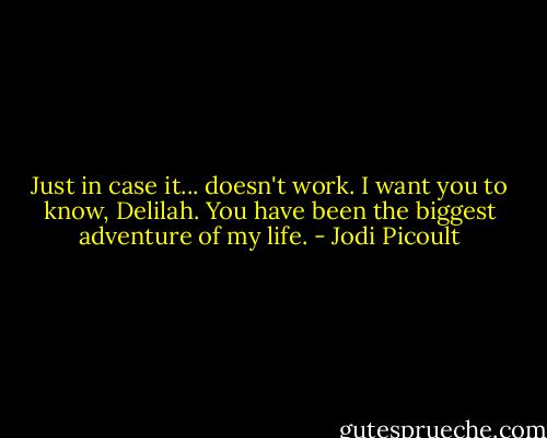 Just in case it... doesn't work. I want you to know, Delilah. You have been the biggest adventure of my life. - Jodi Picoult