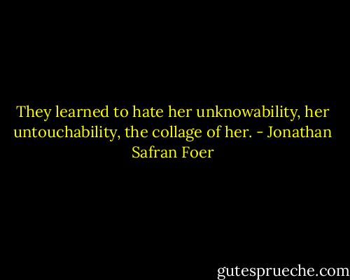 They learned to hate her unknowability, her untouchability, the collage of her. - Jonathan Safran Foer