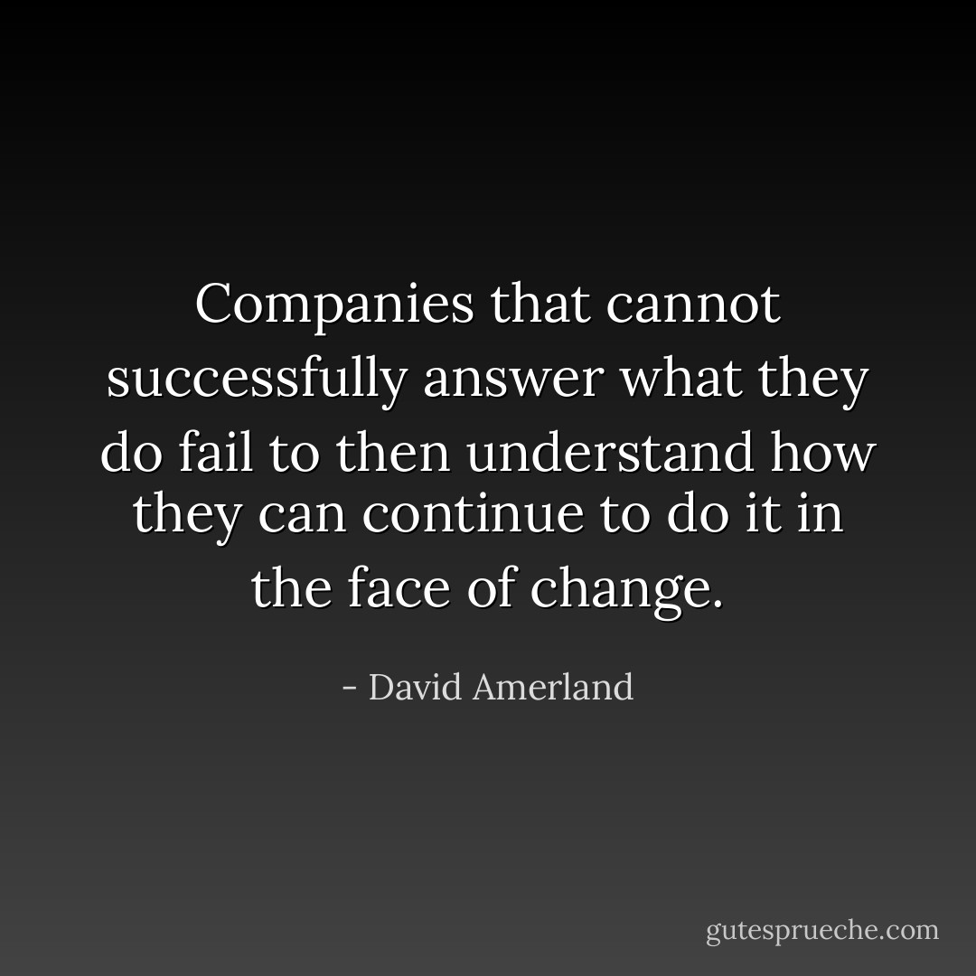 Companies that cannot successfully answer what they do fail to then understand how they can continue to do it in the face of change. - David Amerland