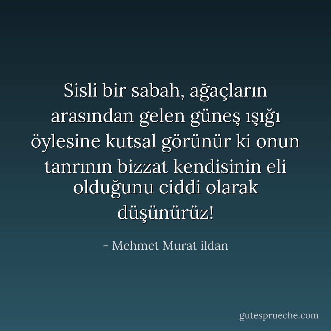 Sisli bir sabah, ağaçların arasından gelen güneş ışığı öylesine kutsal görünür ki onun tanrının bizzat kendisinin eli olduğunu ciddi olarak düşünürüz! - Mehmet Murat ildan