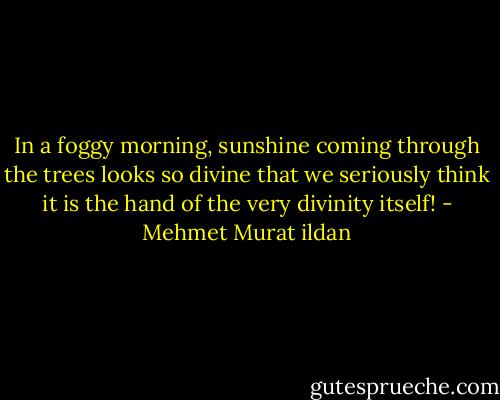 In a foggy morning, sunshine coming through the trees looks so divine that we seriously think it is the hand of the very divinity itself! - Mehmet Murat ildan
