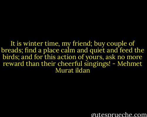 It is winter time, my friend; buy couple of breads; find a place calm and quiet and feed the birds; and for this action of yours, ask no more reward than their cheerful singings! - Mehmet Murat ildan