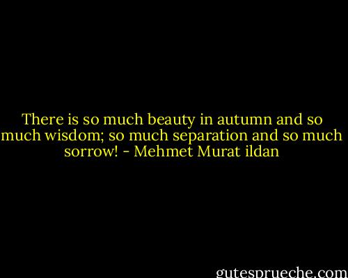 There is so much beauty in autumn and so much wisdom; so much separation and so much sorrow! - Mehmet Murat ildan