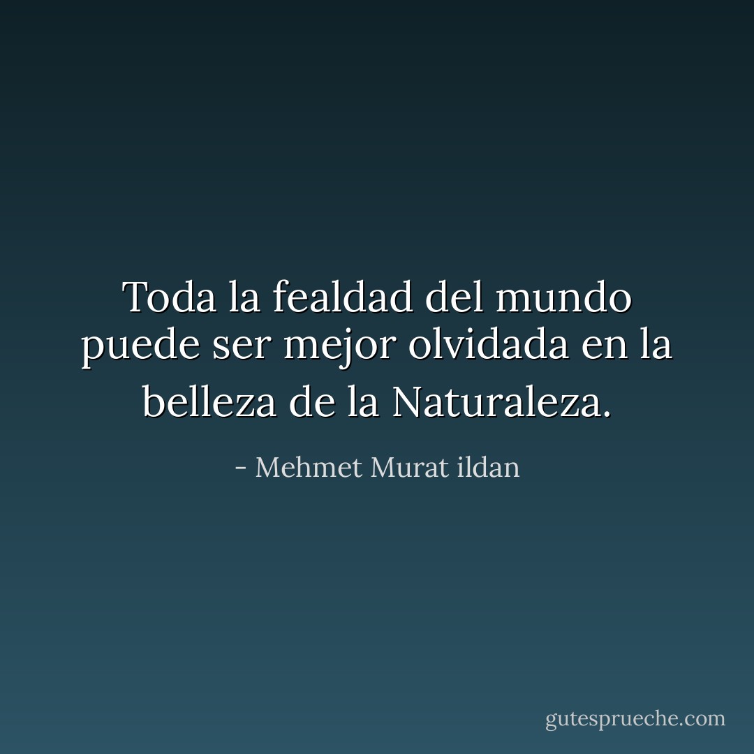 Toda la fealdad del mundo puede ser mejor olvidada en la belleza de la Naturaleza. - Mehmet Murat ildan