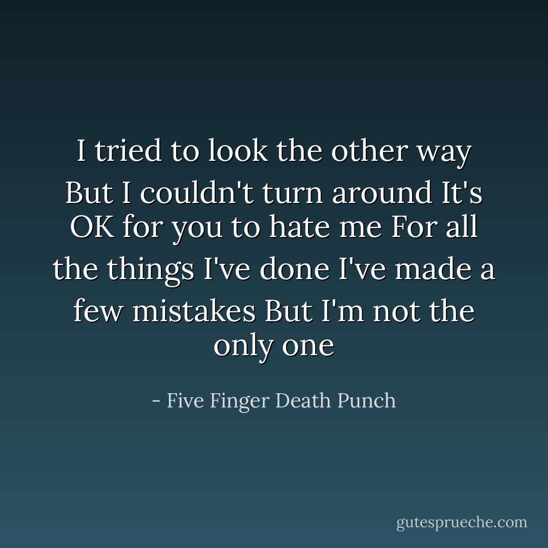 I tried to look the other way<br />But I couldn't turn around<br />It's OK for you to hate me<br />For all the things I've done<br />I've made a few mistakes<br />But I'm not the only one - Five Finger Death Punch