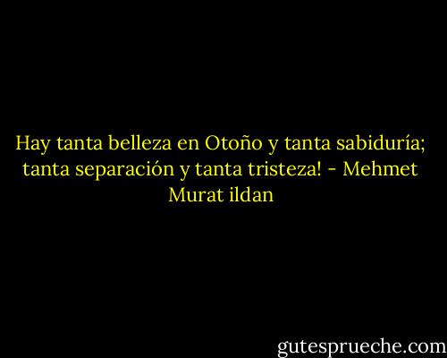 Hay tanta belleza en Otoño y tanta sabiduría; tanta separación y tanta tristeza! - Mehmet Murat ildan