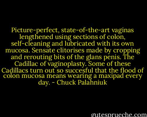 Picture-perfect, state-of-the-art vaginas lengthened using sections of colon, self-cleaning and lubricated with its own mucosa. Sensate clitorises made by cropping and rerouting bits of the glans penis. The Cadillac of vaginoplasty. Some of these Cadillacs turn out so succesful that the flood of colon mucosa means wearing a maxipad every day. - Chuck Palahniuk