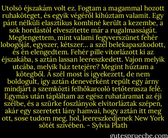 Utolsó éjszakám volt ez.<br />Fogtam a magammal hozott ruhaköteget, és egyik végéről kihúztam valamit. Egy pánt nélküli elasztikus kombiné került a kezembe, a sok hordástól elveszítette már a rugalmasságát. Meglengettem, mint valami fegyverszünet fehér lobogóját, egyszer, kétszer… a szél belekapaszkodott, és én elengedtem.<br />Fehér pille vitorlázott ki az éjszakába, s aztán lassan leereszkedett. Vajon melyik utcába, melyik ház tetejére?<br />Megint húztam a kötegből.<br />A szél most is igyekezett, de nem boldogult, így aztán denevérként repült egy árny mindjárt a szemközti felhőkarcoló tetőterasza felé.<br />Egymás után tápláltam az egész ruhatáramat az éji szélbe, és a szürke foszlányok elvitorláztak szépen, akár egy szeretett lány hamvai, hogy aztán itt meg ott, sose tudom meg, hol, leereszkedjenek New York sötét szívében. - Sylvia Plath