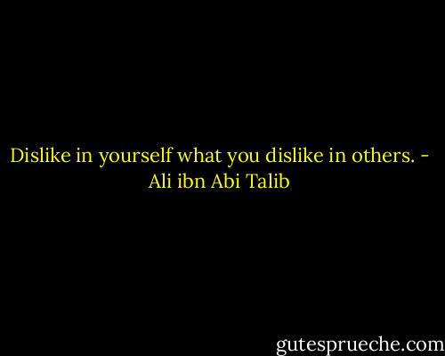 Dislike in yourself what you dislike in others. - Ali ibn Abi Talib