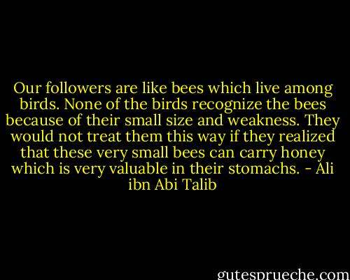 Our followers are like bees which live among birds. None of the birds recognize the bees because of their small size and weakness. They would not treat them this way if they realized that these very small bees can carry honey which is very valuable in their stomachs. - Ali ibn Abi Talib