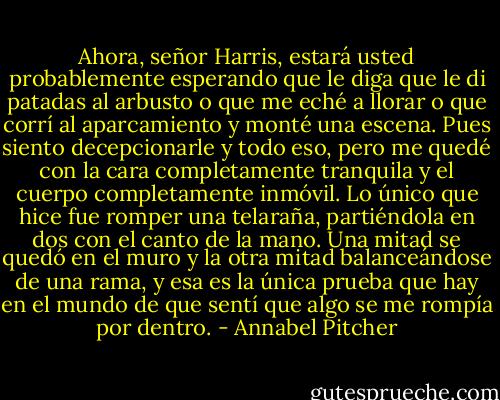 Ahora, señor Harris, estará usted probablemente esperando que le diga que le di patadas al arbusto o que me eché a llorar o que corrí al aparcamiento y monté una escena. Pues siento decepcionarle y todo eso, pero me quedé con la cara completamente tranquila y el cuerpo completamente inmóvil. Lo único que hice fue romper una telaraña, partiéndola en dos con el canto de la mano. Una mitad se quedó en el muro y la otra mitad balanceándose de una rama, y esa es la única prueba que hay en el mundo de que sentí que algo se me rompía por dentro. - Annabel Pitcher