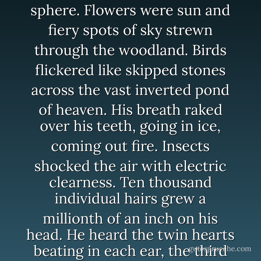 The grass whispered under his body. He put his arm down, feeling the sheath of fuzz on it, and, far away, below, his toes creaking in his shoes. The wind sighed over his shelled ears. The world slipped bright over the glassy round of his eyeballs like images sparked in a crystal sphere. Flowers were sun and fiery spots of sky strewn through the woodland. Birds flickered like skipped stones across the vast inverted pond of heaven. His breath raked over his teeth, going in ice, coming out fire. Insects shocked the air with electric clearness. Ten thousand individual hairs grew a millionth of an inch on his head. He heard the twin hearts beating in each ear, the third heart beating in his throat, the two hearts throbbing his wrists, the real heart pounding his chest. The million pores on his body opened. <br />I'm really alive! he thought. I never knew it before, or if I did I don't remember! - Ray Bradbury