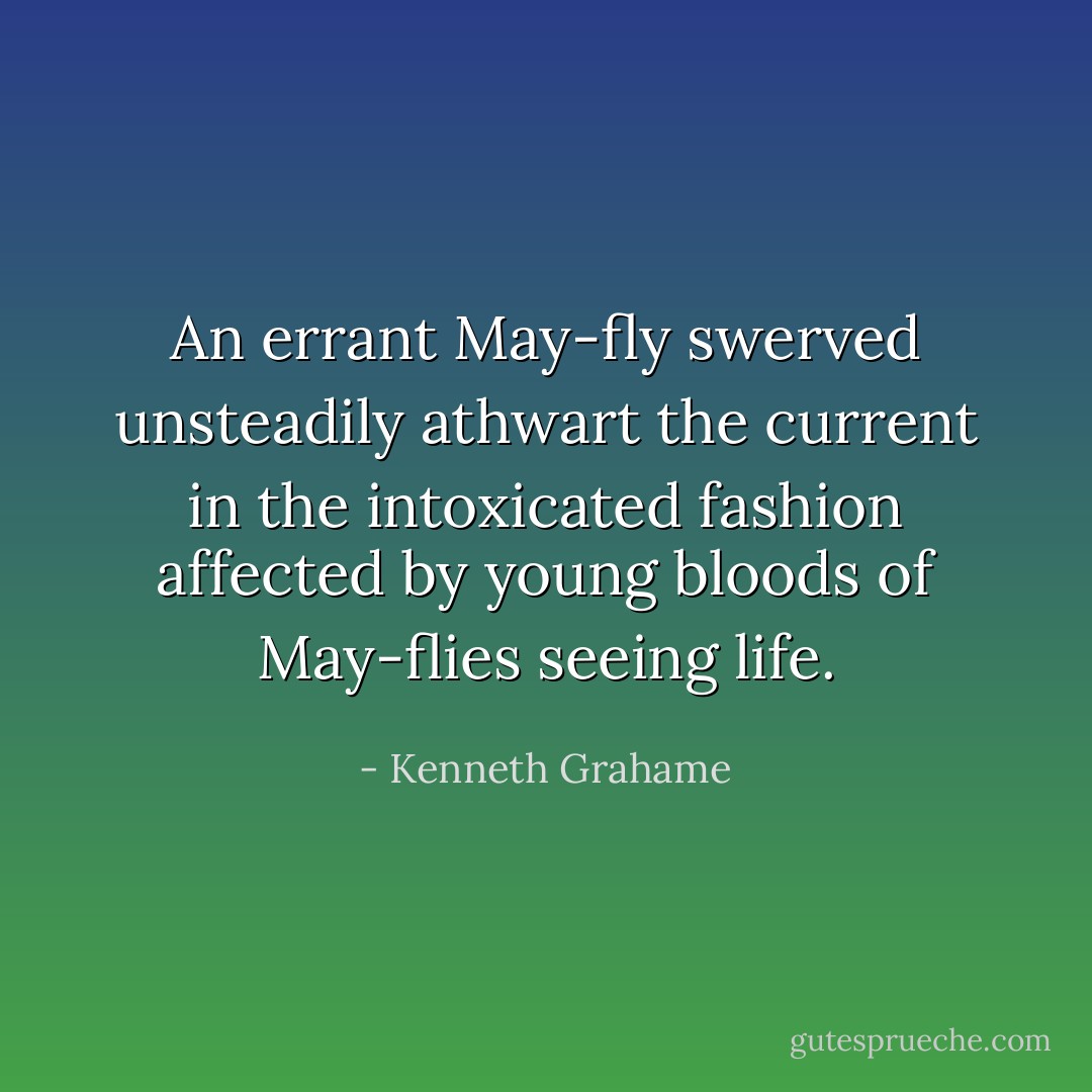 An errant May-fly swerved unsteadily athwart the current in the intoxicated fashion affected by young bloods of May-flies seeing life. - Kenneth Grahame