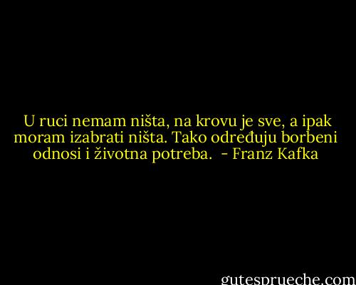  U ruci nemam ništa, na krovu je sve, a ipak moram izabrati ništa. Tako određuju borbeni odnosi i životna potreba.  - Franz Kafka