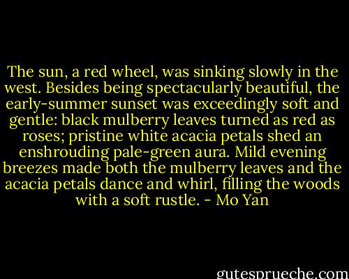 The sun, a red wheel, was sinking slowly in the west. Besides being spectacularly beautiful, the early-summer sunset was exceedingly soft and gentle: black mulberry leaves turned as red as roses; pristine white acacia petals shed an enshrouding pale-green aura. Mild evening breezes made both the mulberry leaves and the acacia petals dance and whirl, filling the woods with a soft rustle. - Mo Yan