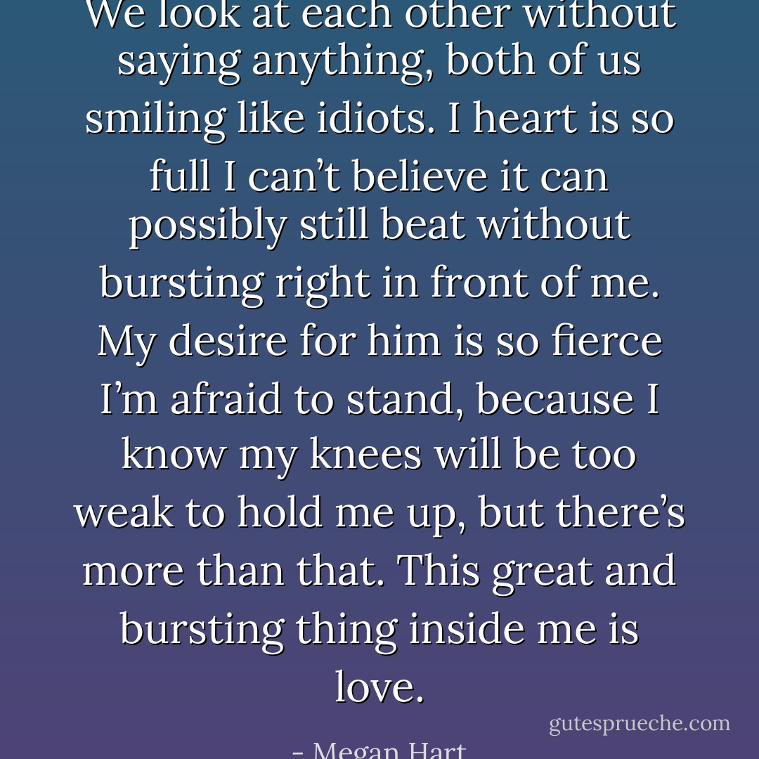 We look at each other without saying anything, both of us smiling like idiots. I heart is so full I can’t believe it can possibly still beat without bursting right in front of me. My desire for him is so fierce I’m afraid to stand, because I know my knees will be too weak to hold me up, but there’s more than that. This great and bursting thing inside me is love. - Megan Hart